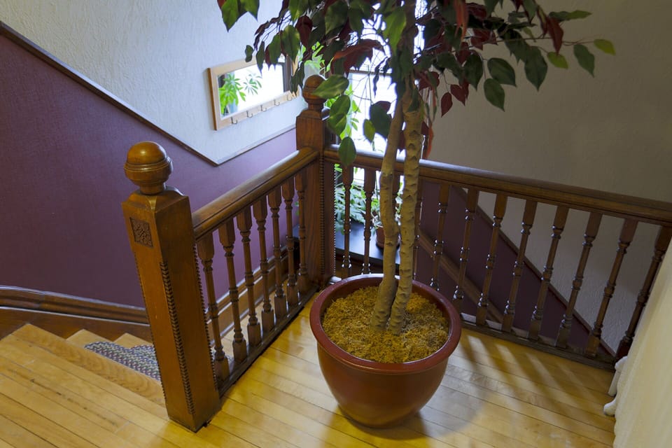 The front bedroom