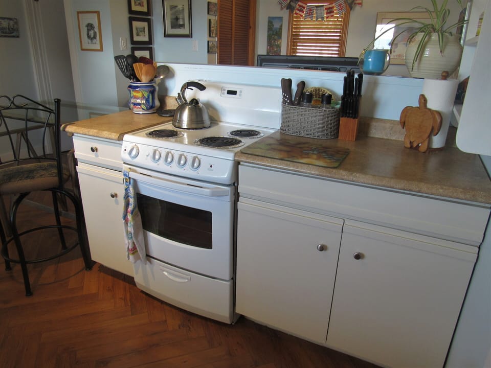 Kitchen. Basic spices, paper towel, coffee, tea are all provided.