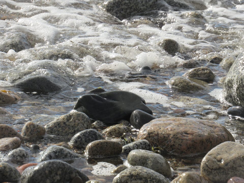 beach rocks