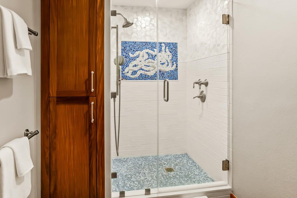En-suite, walk-in shower for master