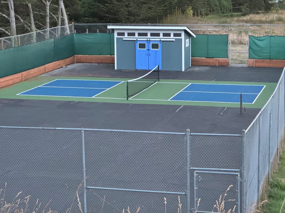 Regulation Pickleball Court with paddles and balls