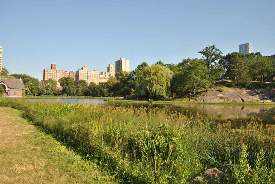 Central Park
