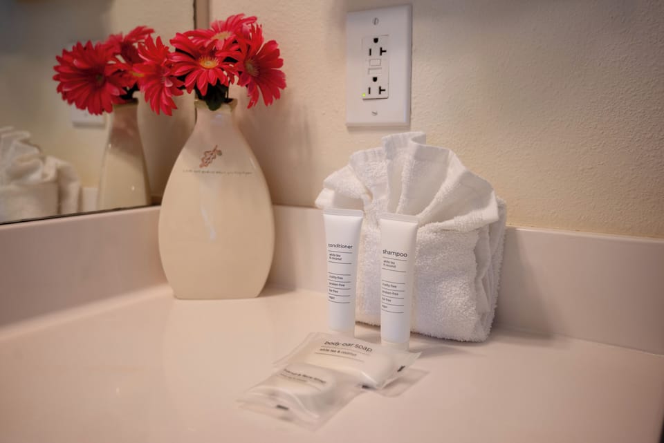 Bathroom amenities