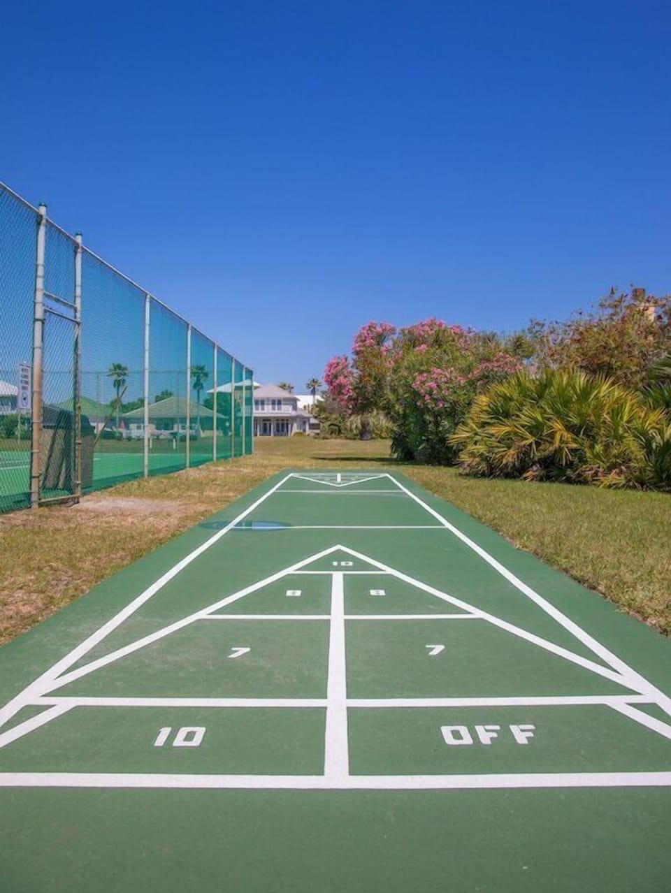 Shuffleboard