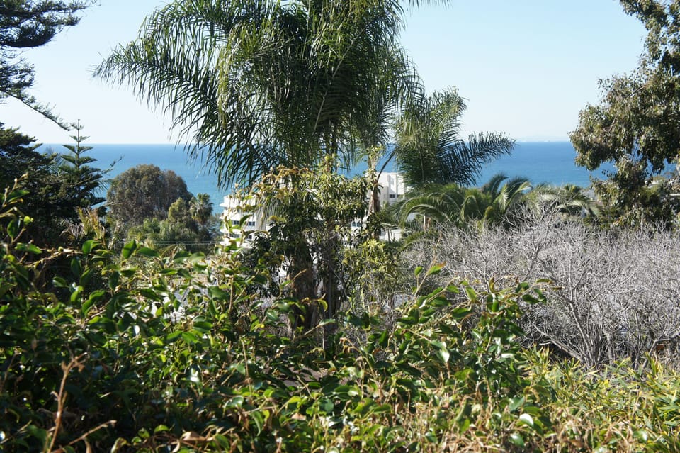 Back Deck View