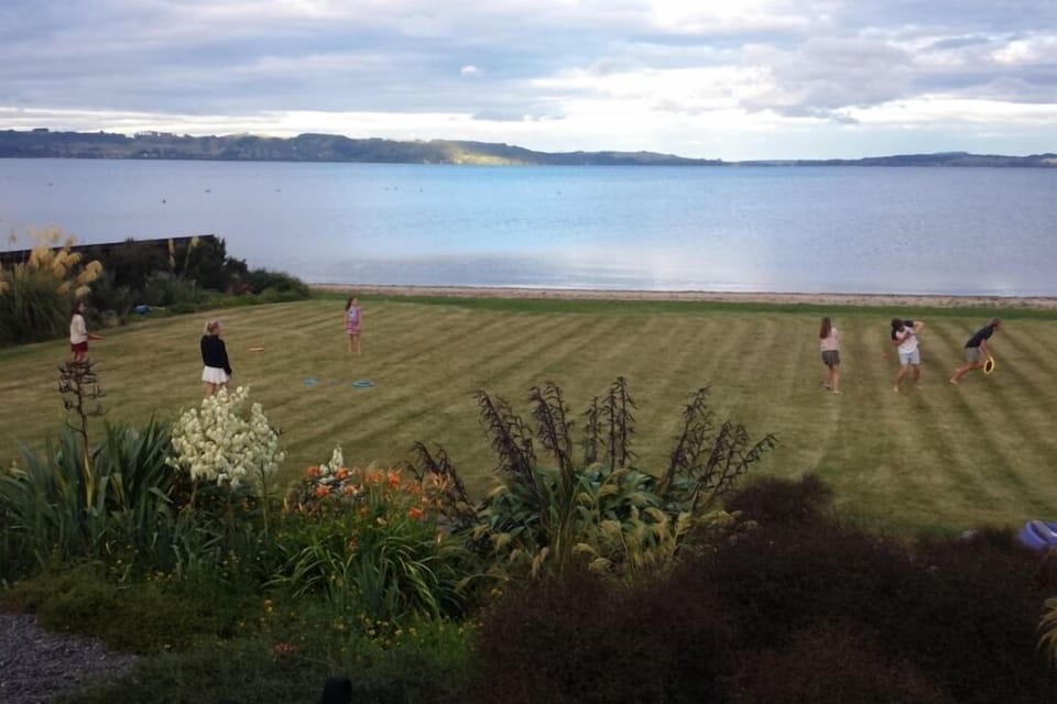 Ultimate backyard cricket pitch!