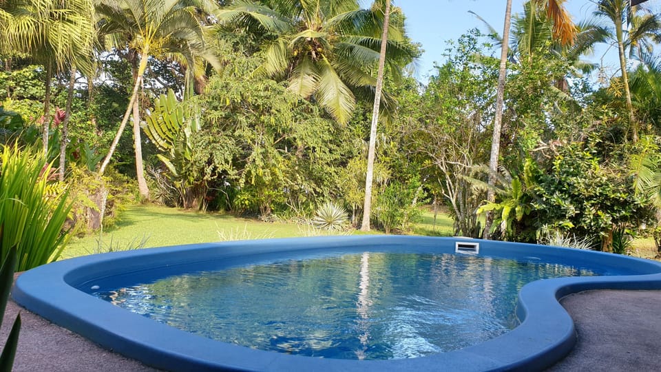 Enjoy in your private swimming pool!