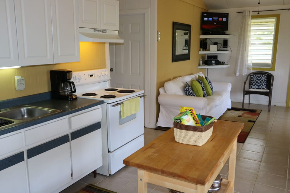 Kitchen and living room