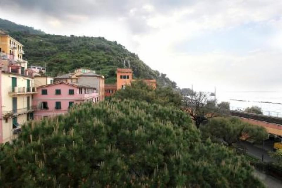 Terrace / Balcony