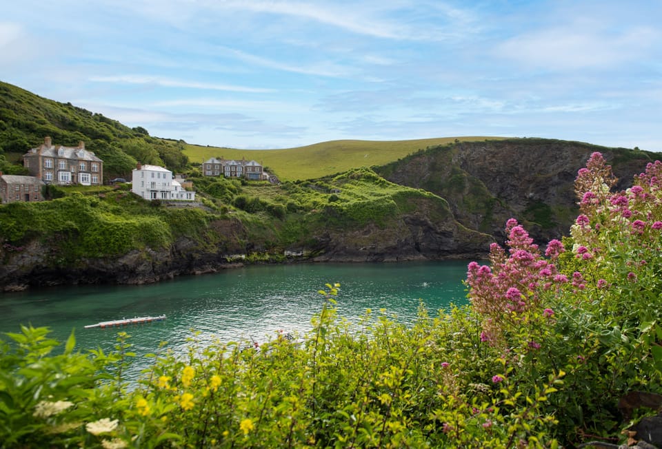 The Cornish coast is filled with gorgeous nature and greenery