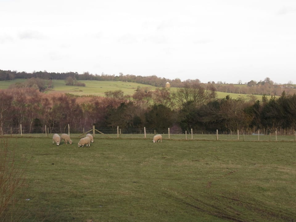 View from the balcony and sitting room