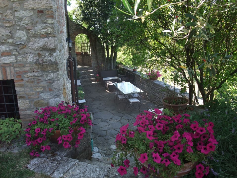 The outside of the house