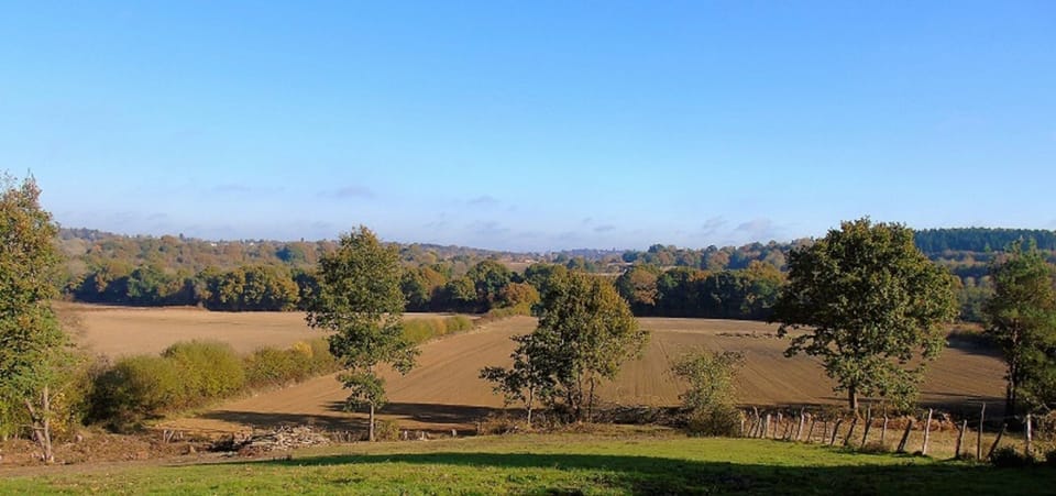 View from Flying Horse Cottage 