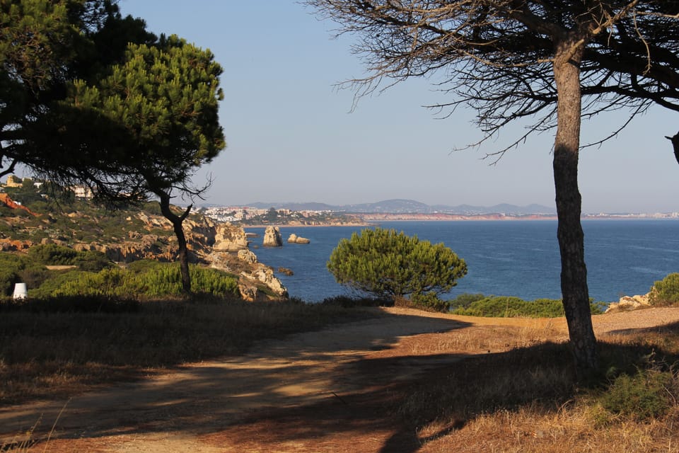 Coastal path looking East