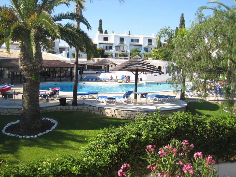 Pool and gardens
