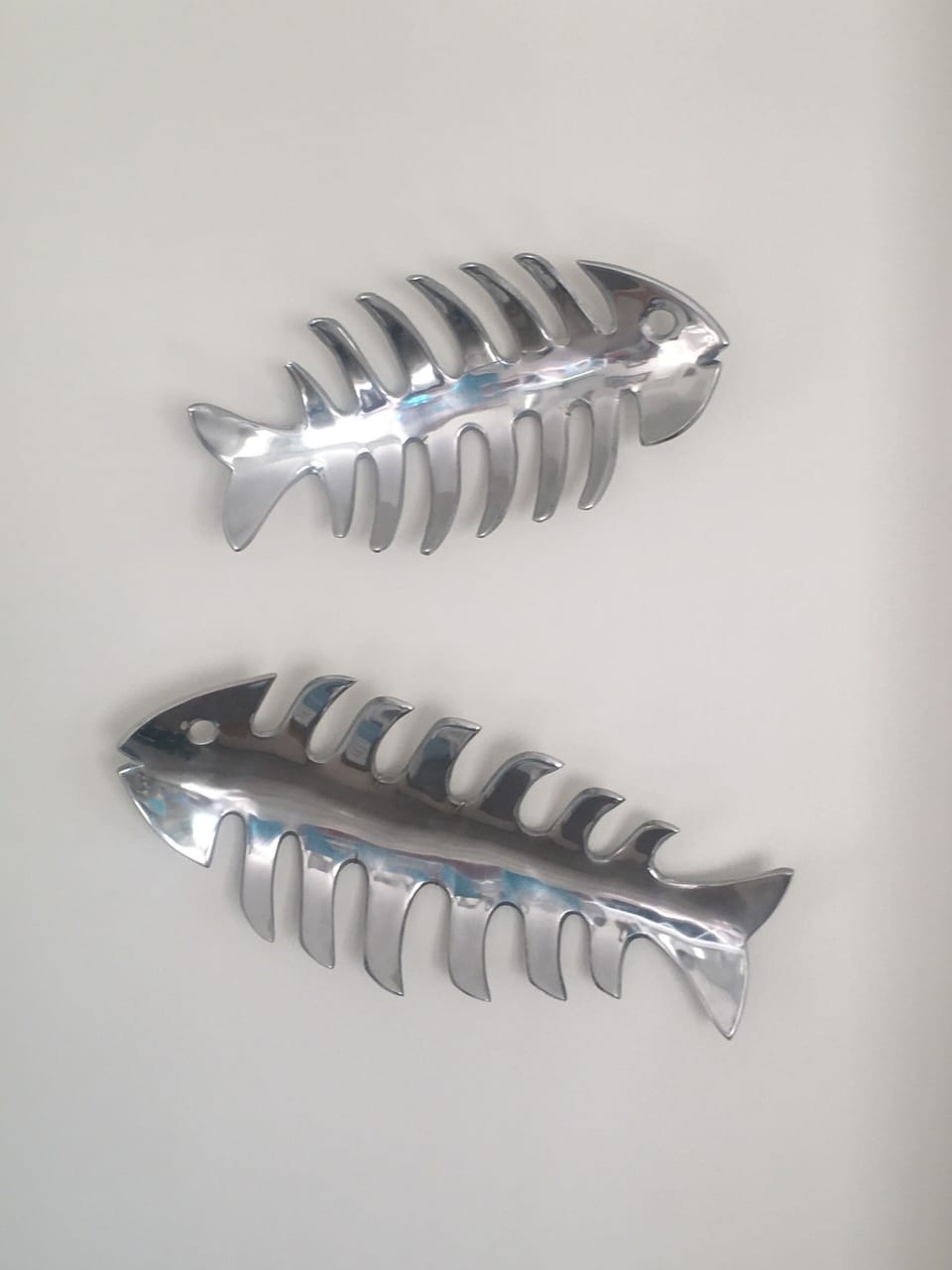Fish on the wall