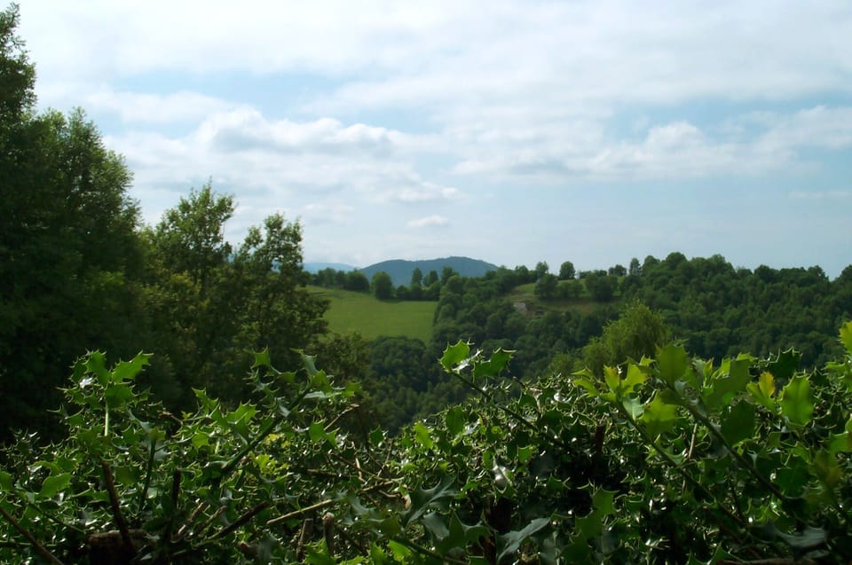 The Pic du Jer of Lourdes viewed from the park