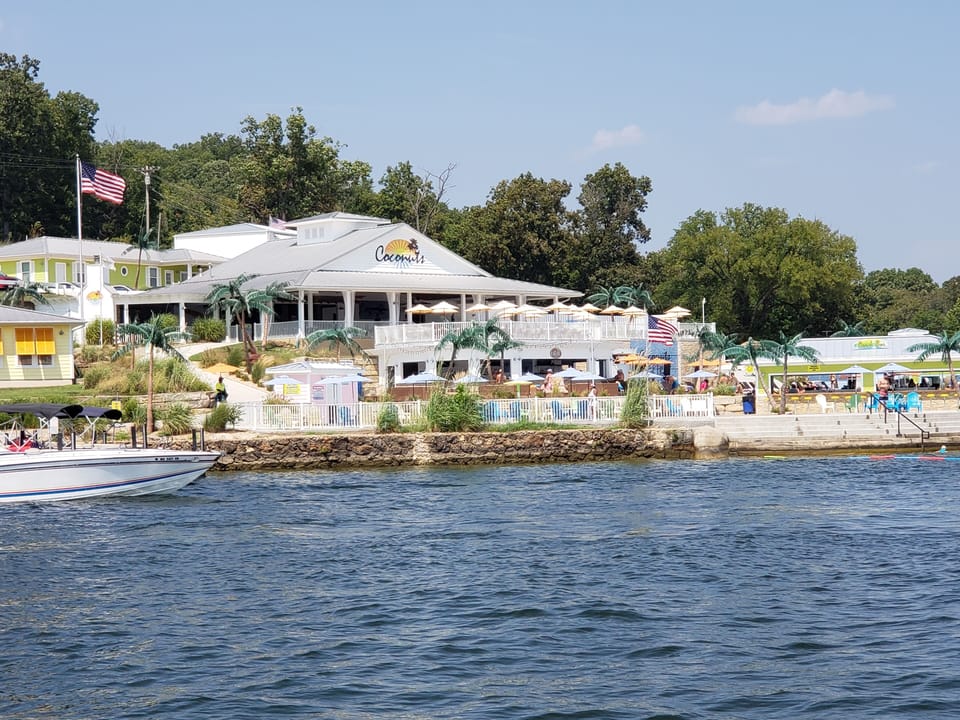 Coconuts...next door neighbor