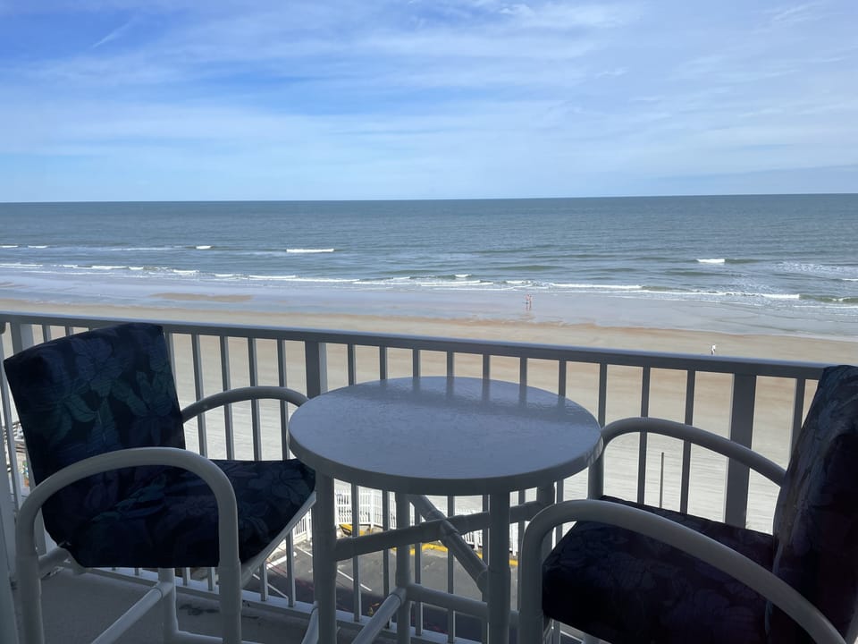 Spectacular sunrises and sunsets, dolphins, birds,  and people watching!