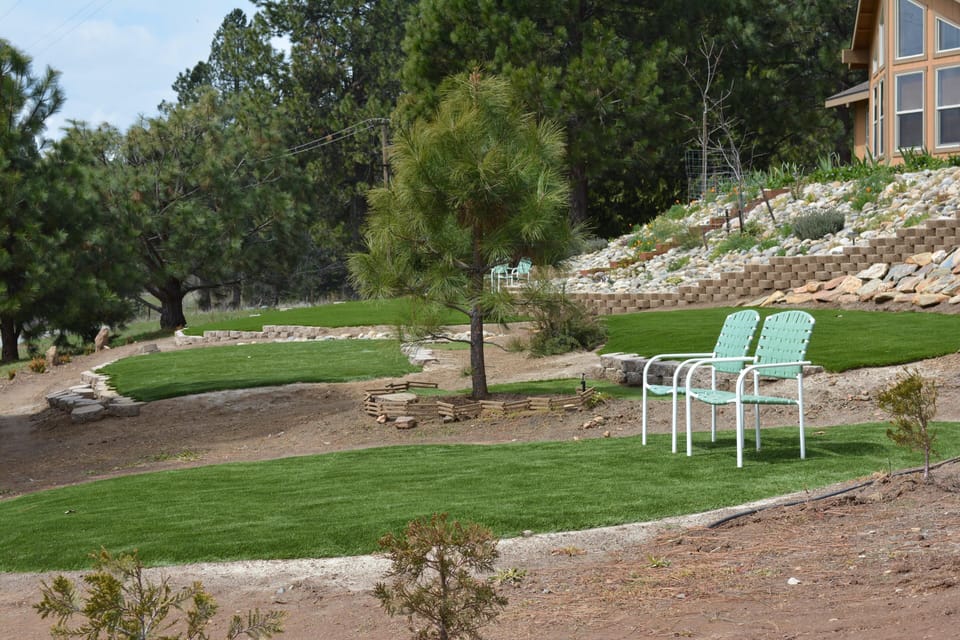 Side view of our front lawns.