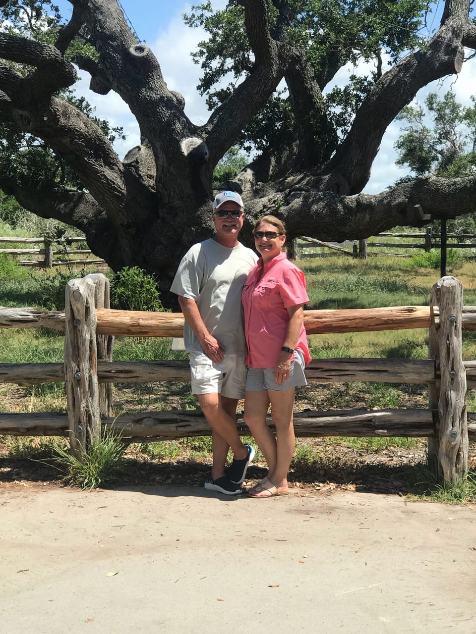 The "Big Tree" in Goose Island State Park is over 1,000 years old.  