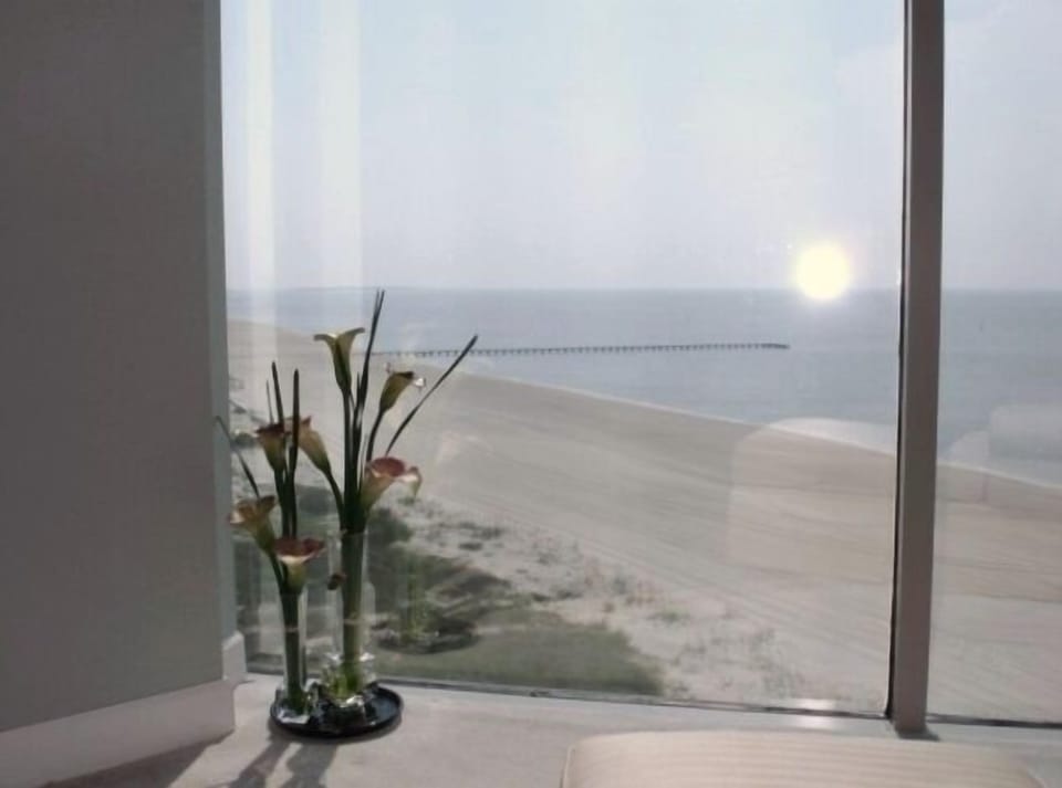 WATER AND BEACH VIEWS FROM FLOOR TO CEILING WIDOWS IN MAIN BEDROOM