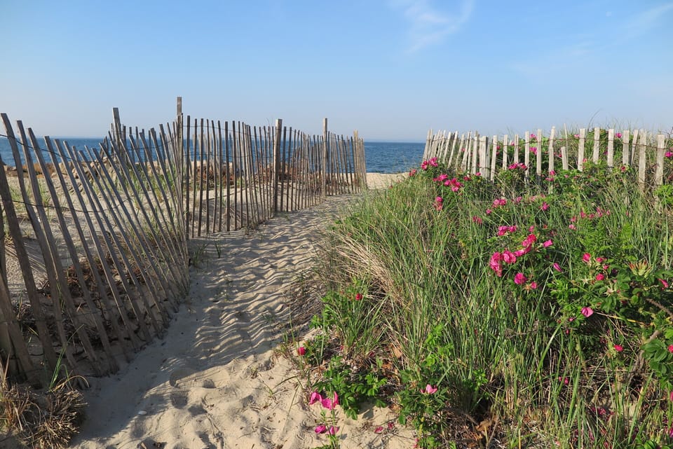 Bristol Beach
