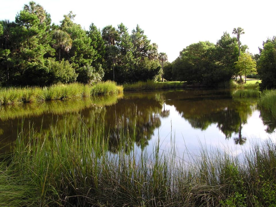 One of the many lagoon on Kiawah