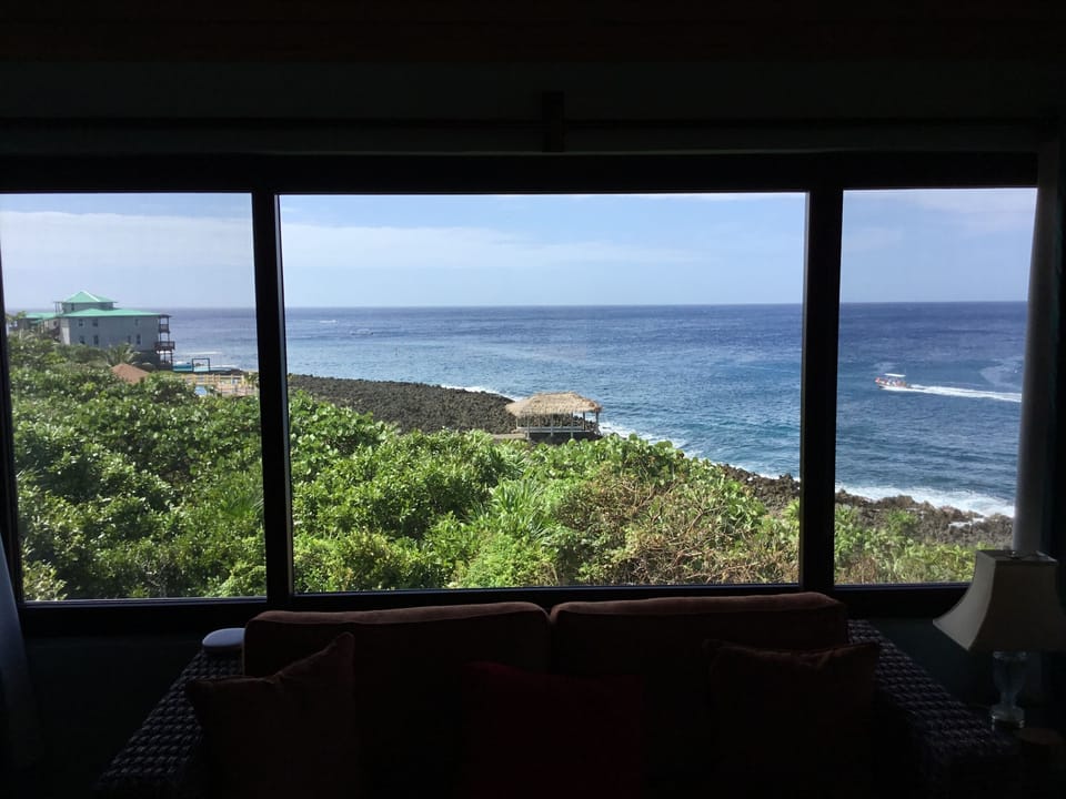 View from living area! 