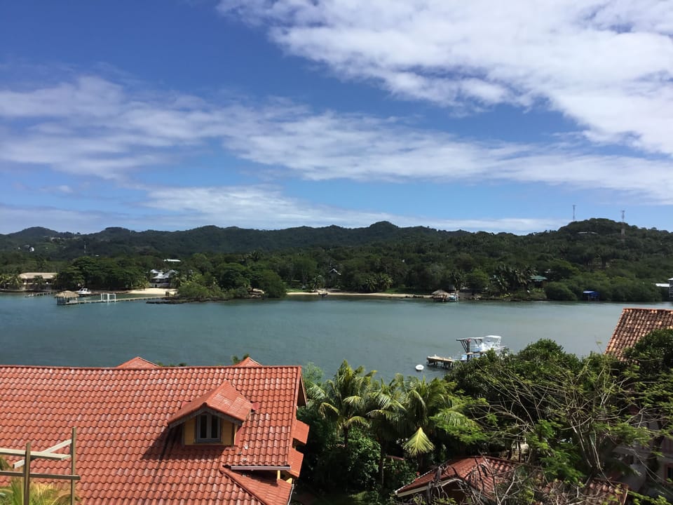 View of the bay from second bedroom! 