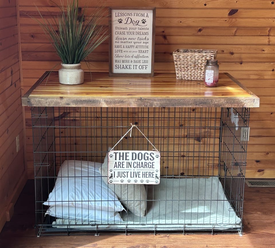accommodations for your pup!