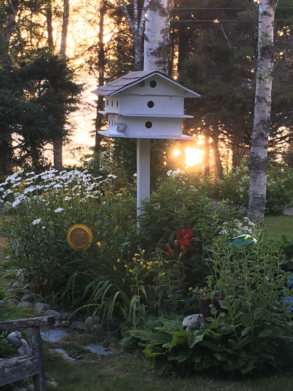 Garden by porch
