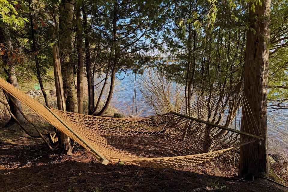 Lakeside hammock — a quiet spot to read or drift off to a nap.