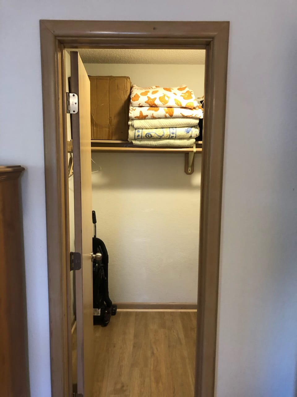 Walk-in closet in master bedroom on lower living level. 