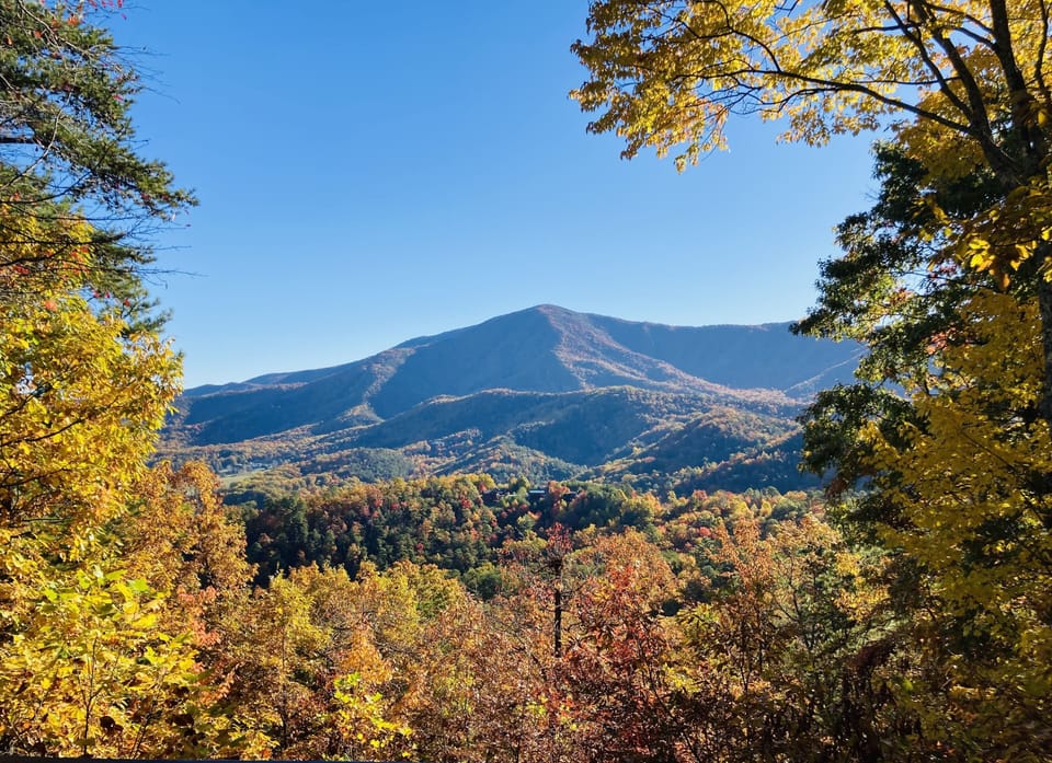 Beautiful Fall Colors from the main deck