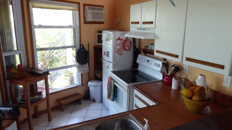 Kitchen has new appliances and microwave