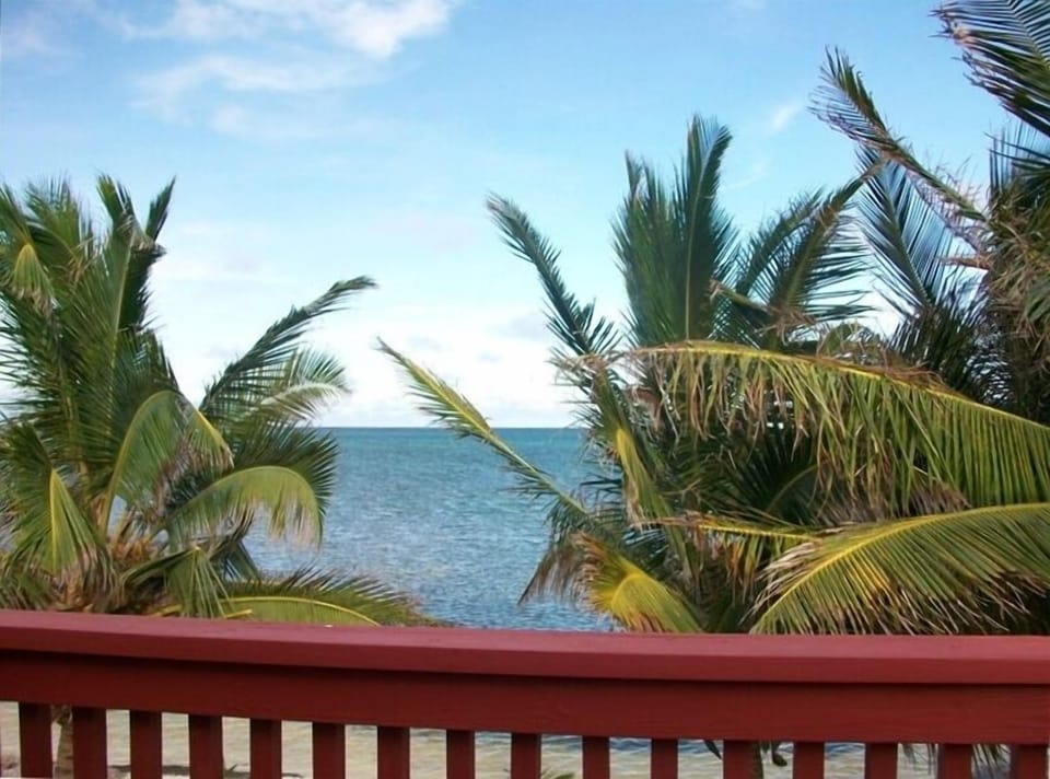 View from the verandah