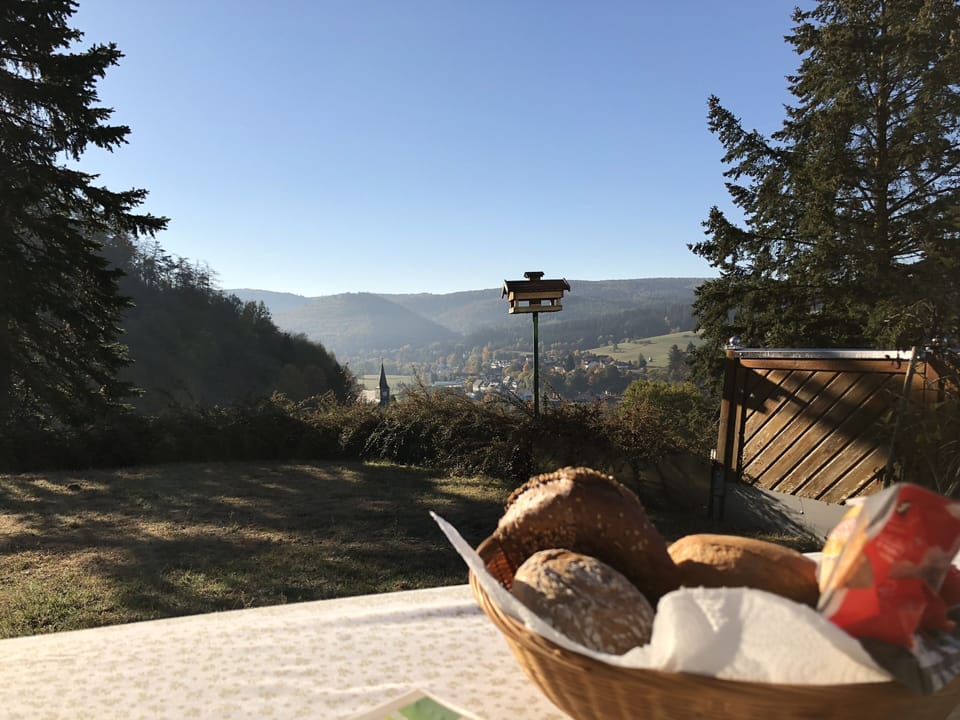 View from property