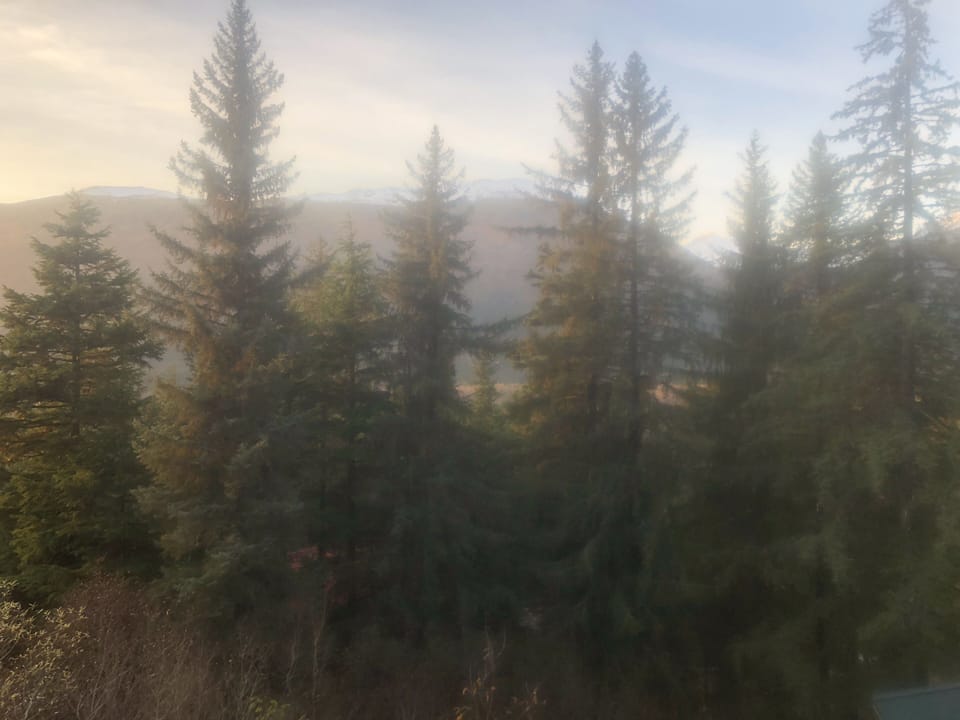 Fall View