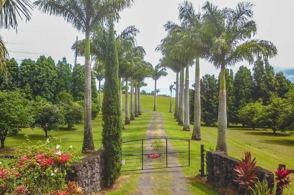 Welcome to Hilo