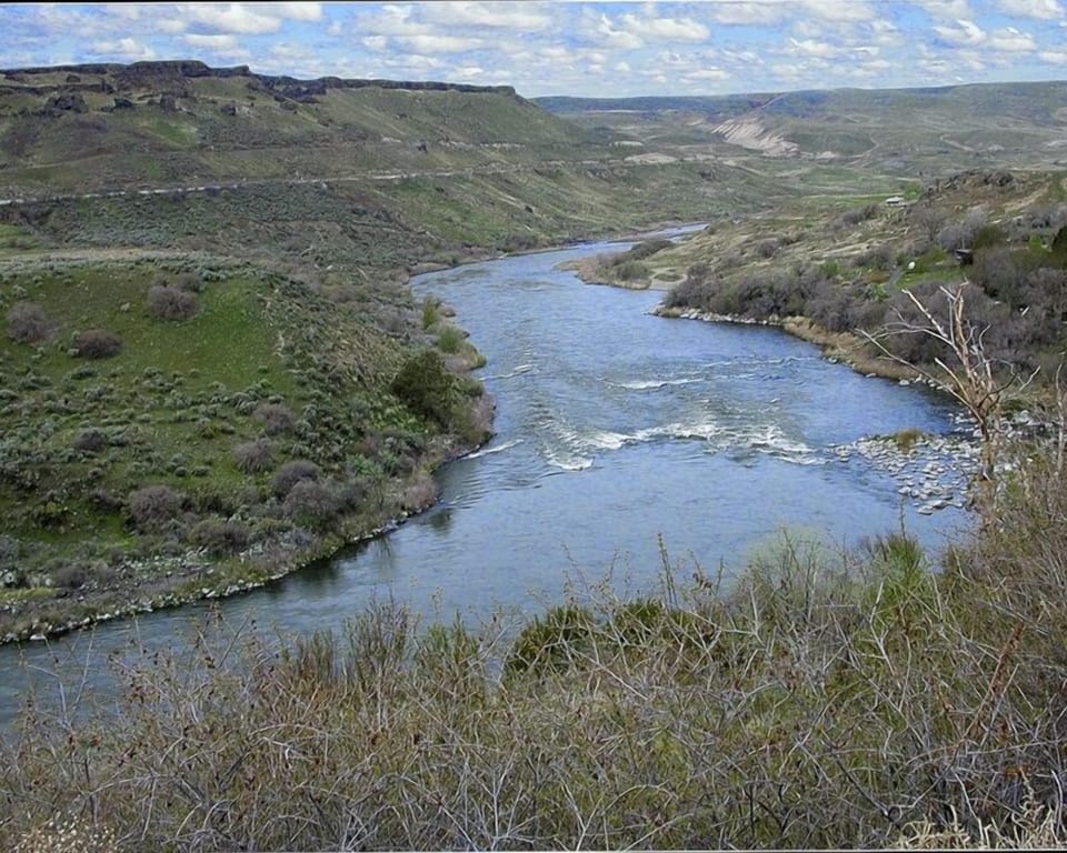 Snake River - rafting and fishing on a free flowing stretch 