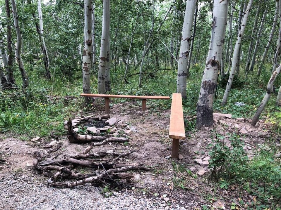 Fire pit surround by a forest of trees!