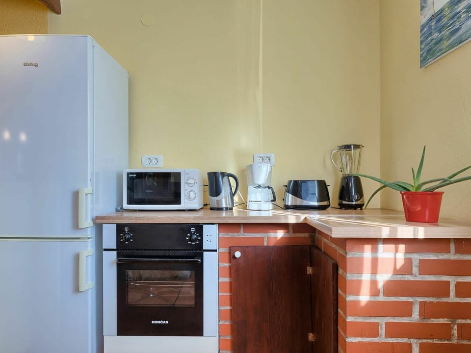 Cabinetry, Countertop, Building, Furniture, Kitchen Appliance, Kitchen, Flowerpot, Plant, Wood, Home Appliance