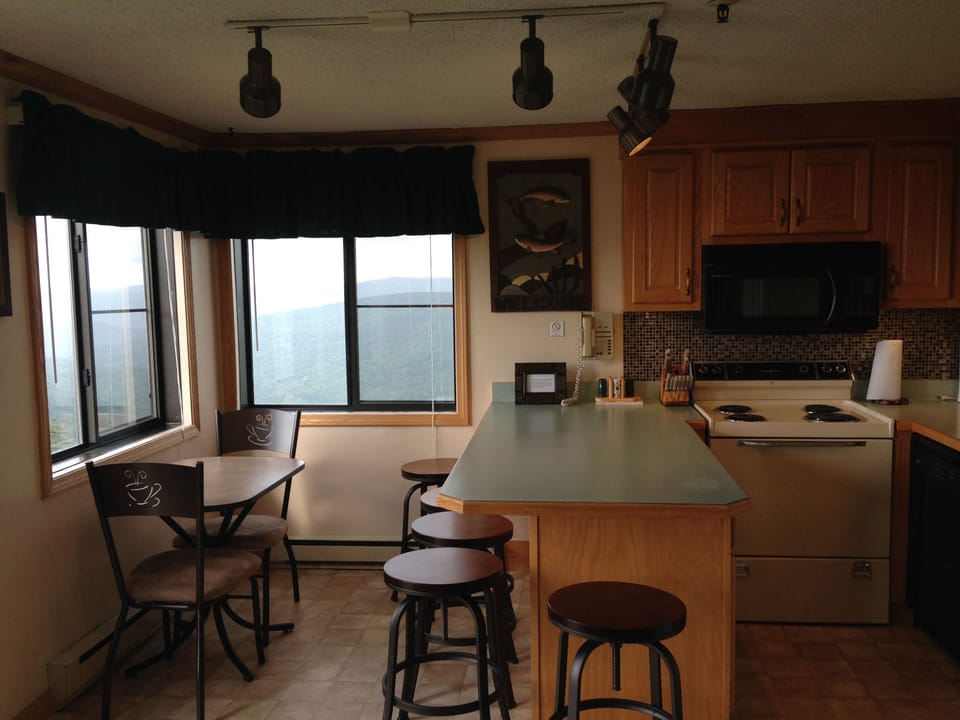 Kitchen w/ view of the slopes, mountain/lake.