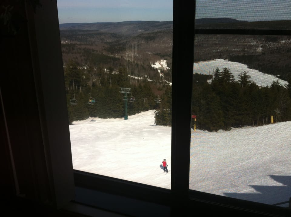 View from the kitchen window