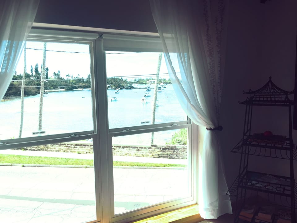 Morning View from indoor seating area