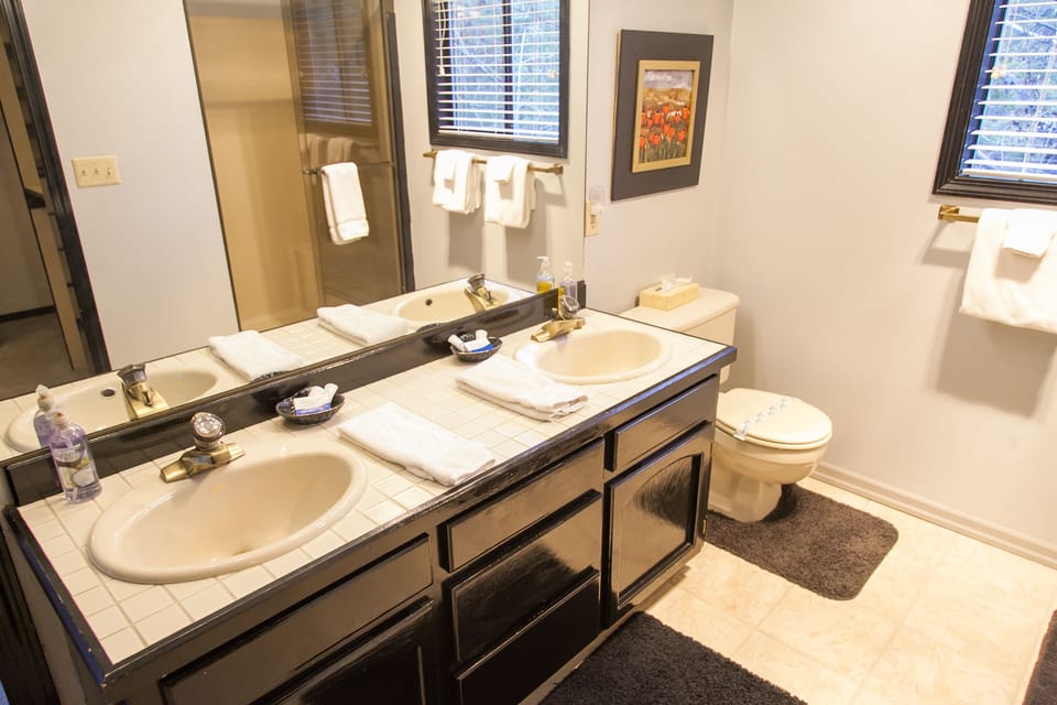 HUGE master bath with walk-in closet, shower, double vanity!