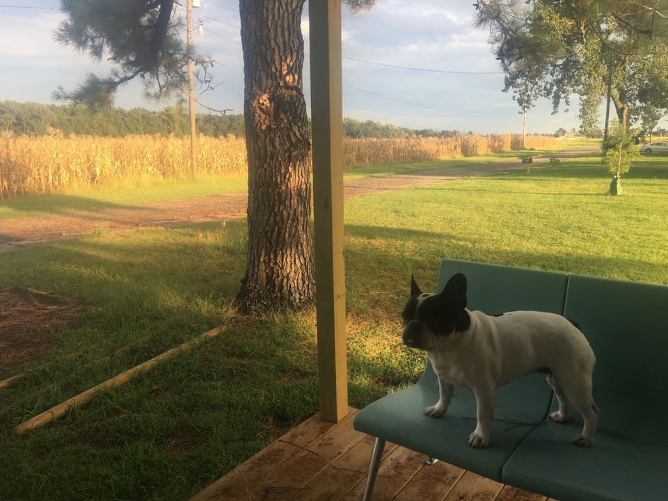 view from porch, looking south.