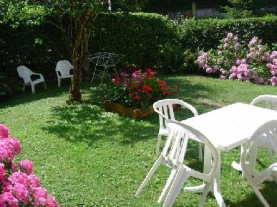 Garden, Park