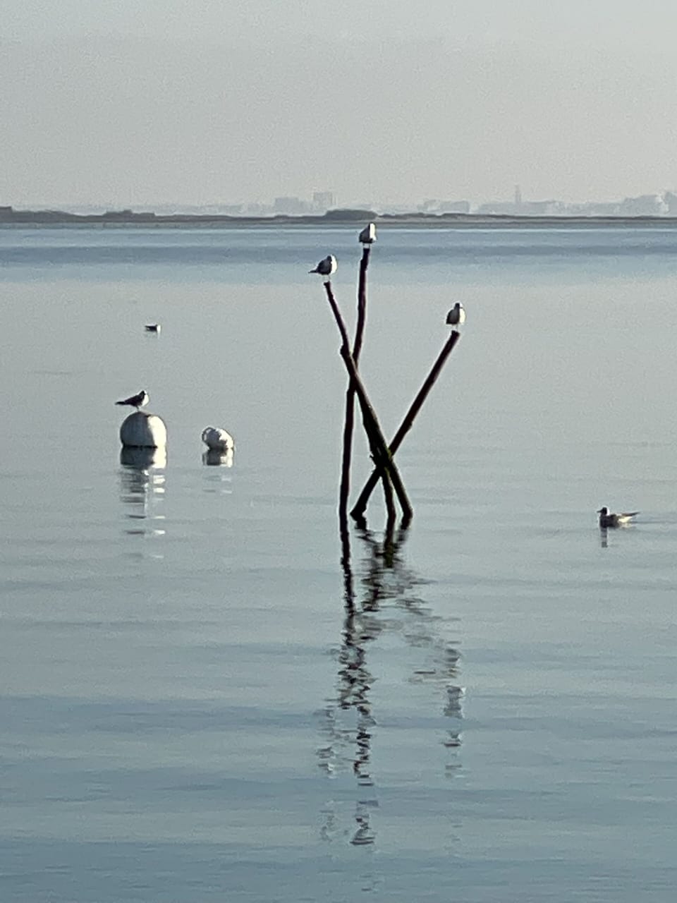 Lake